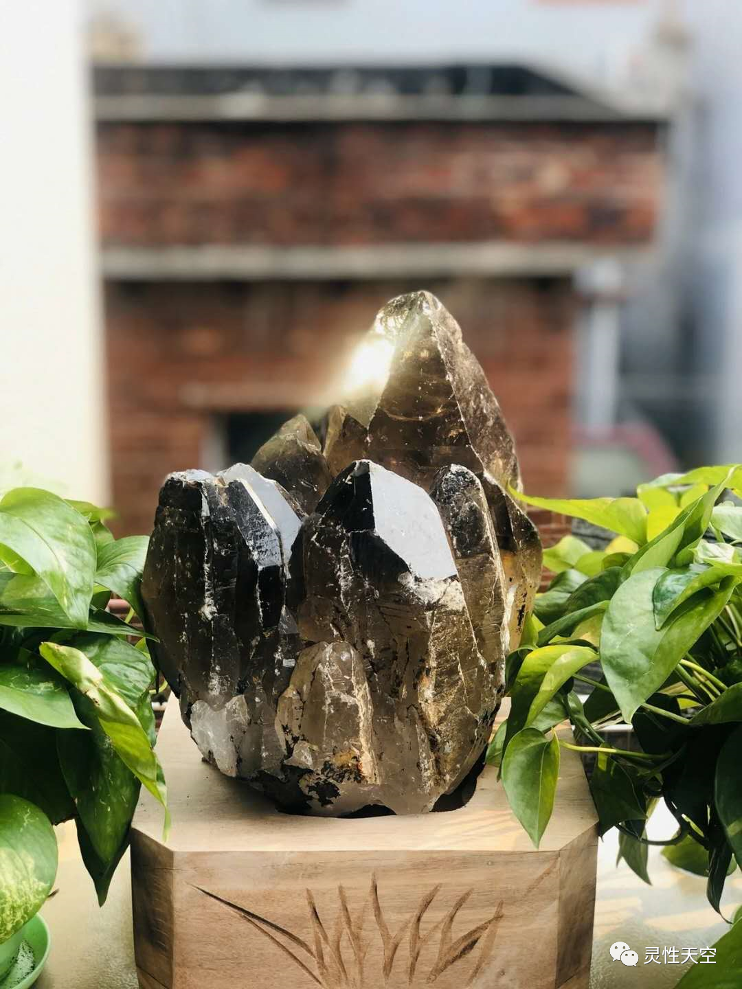 奇迹世界拯救龙族族长_龙族6世界的重启_龙族重返世界树小说