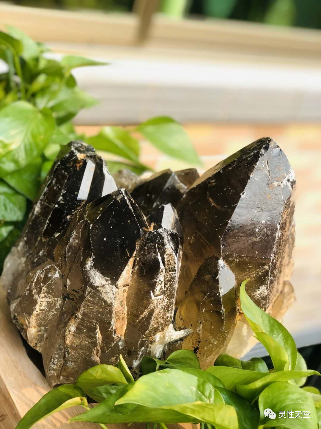 奇迹世界拯救龙族族长_龙族重返世界树小说_龙族6世界的重启