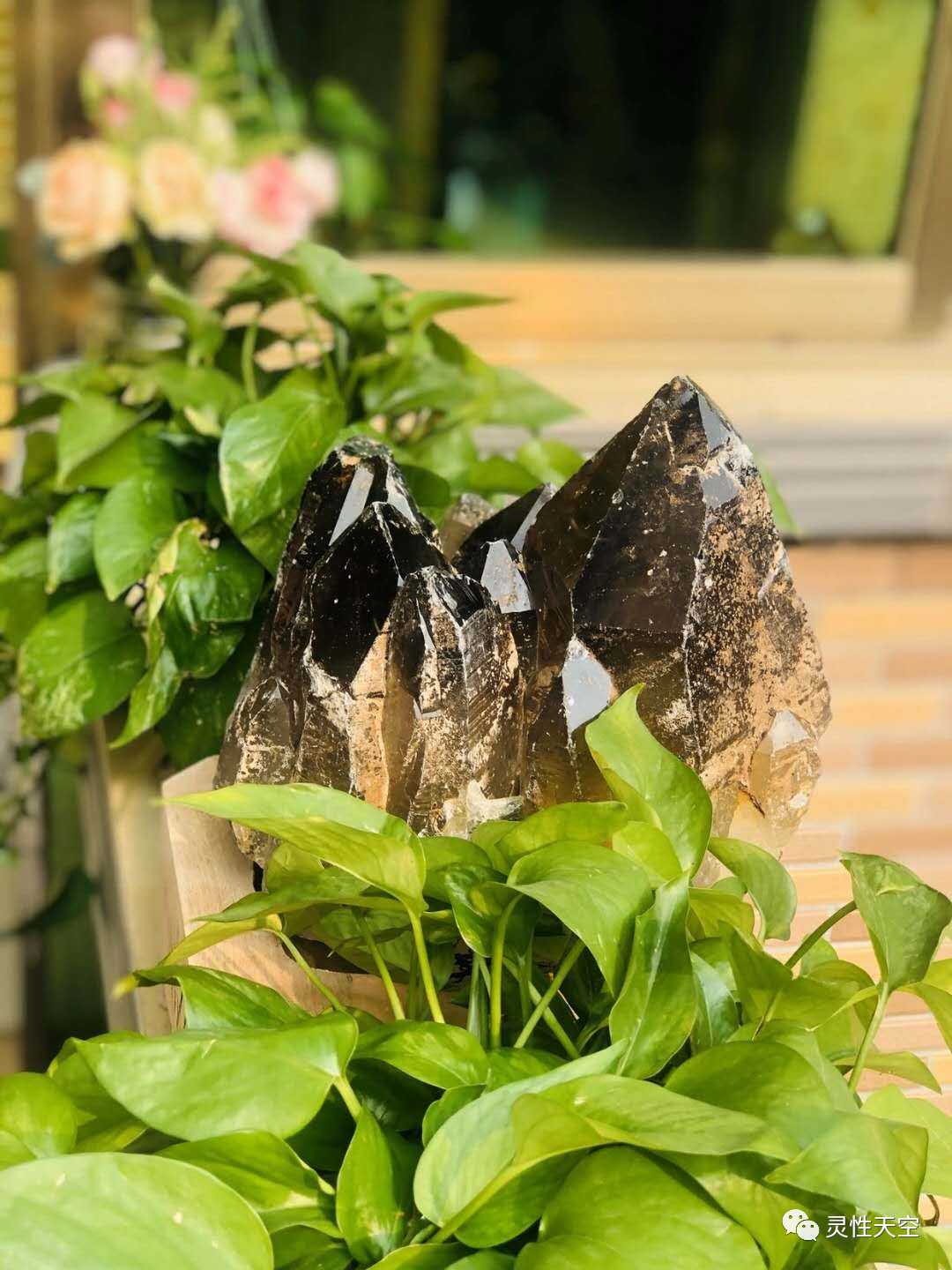 龙族重返世界树小说_奇迹世界拯救龙族族长_龙族6世界的重启